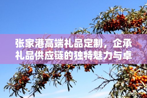张家港高端礼品定制，企承礼品供应链的独特魅力与卓越服务