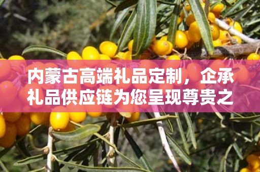内蒙古高端礼品定制，企承礼品供应链为您呈现尊贵之选