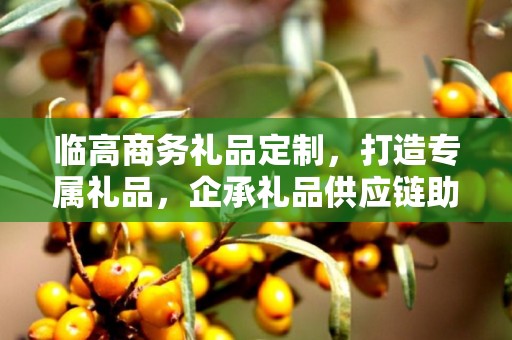临高商务礼品定制，打造专属礼品，企承礼品供应链助力商务往来