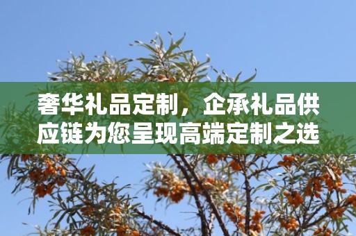 奢华礼品定制，企承礼品供应链为您呈现高端定制之选
